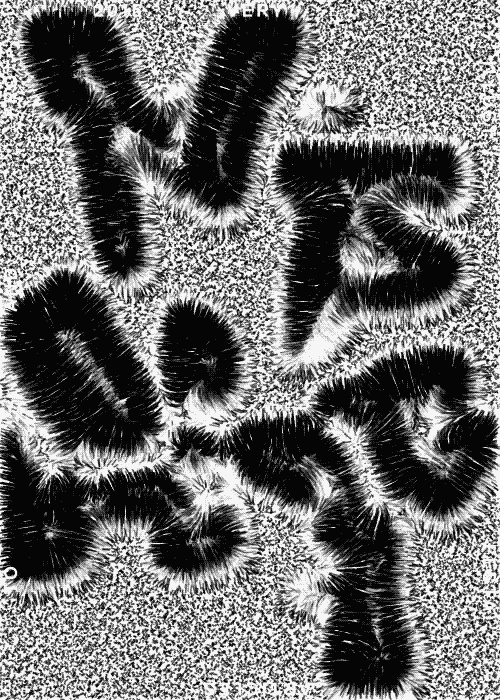 Chris Ro 크리스 로