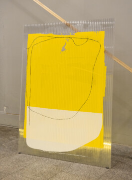Chris Ro 크리스 로