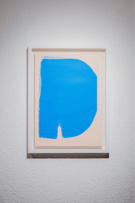 Chris Ro 크리스 로